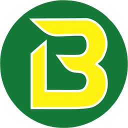 BrazaLink